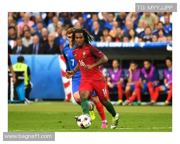 欧洲杯赛场气氛与观众参与感提升方案