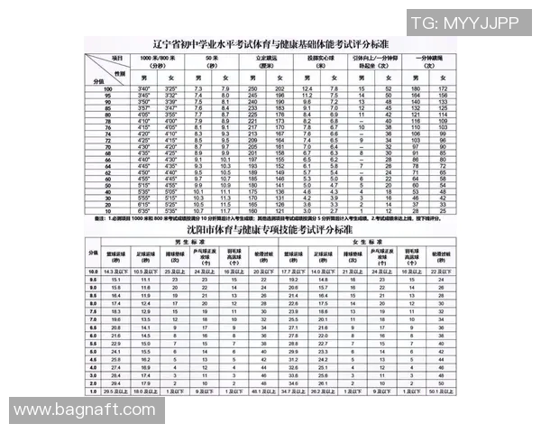 球员评分系统大比拼：评分标准全解析